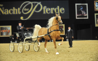 Baden-Badener Pferde glänzten auf der Pferd & Jagd 2010 in Hannover