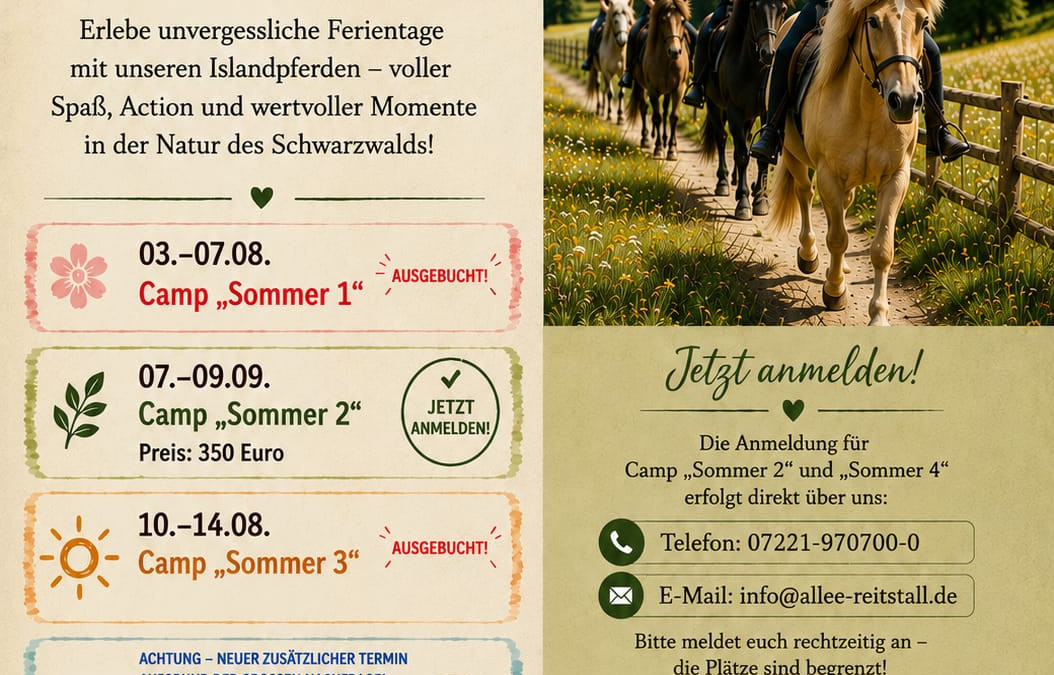 Sommerferien im Sattel: Jetzt die letzten Plätze sichern